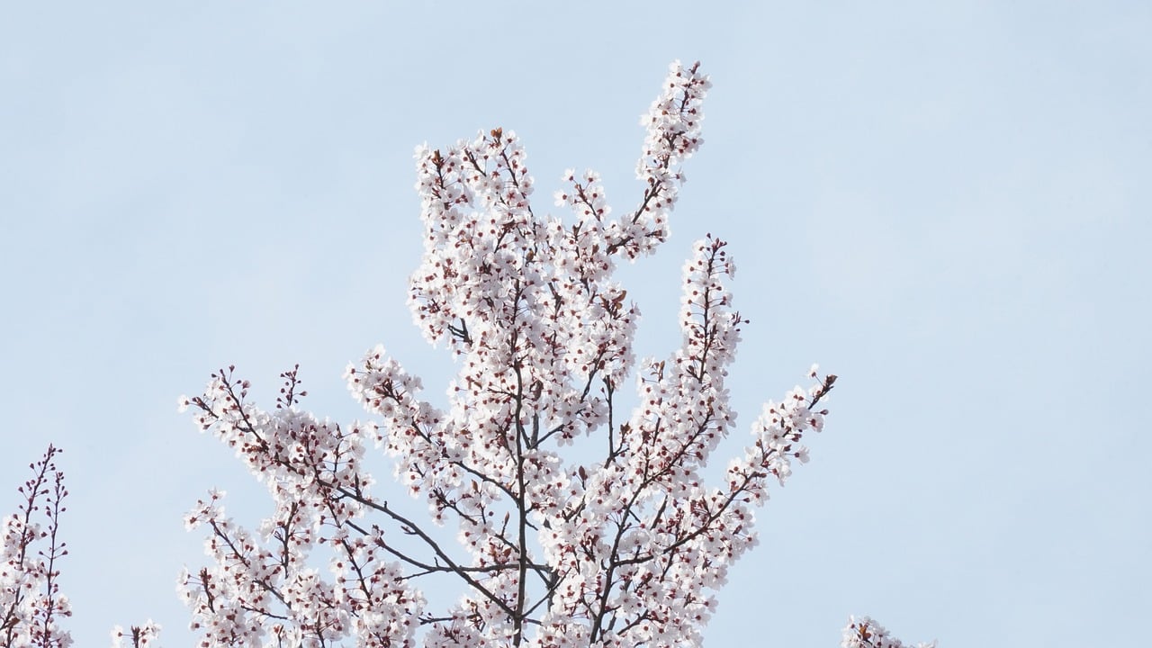 Improving UX with Minimalism