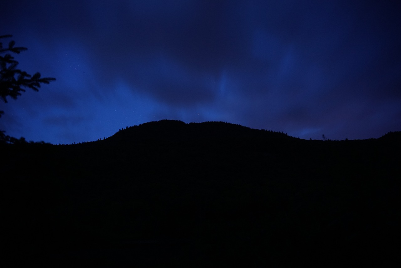 Securing Your Web Application Against Cyber Attacks